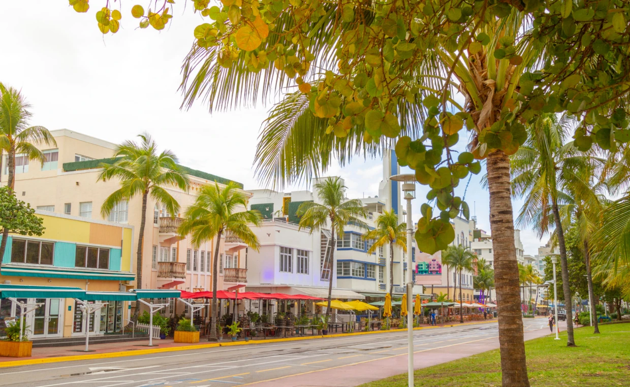 Colorful street with palm trees and buildings.