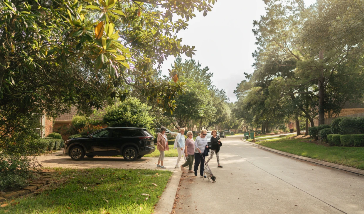 People walking dogs on a suburban street.