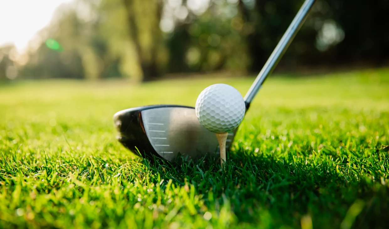 Golf club and ball on grassy course.