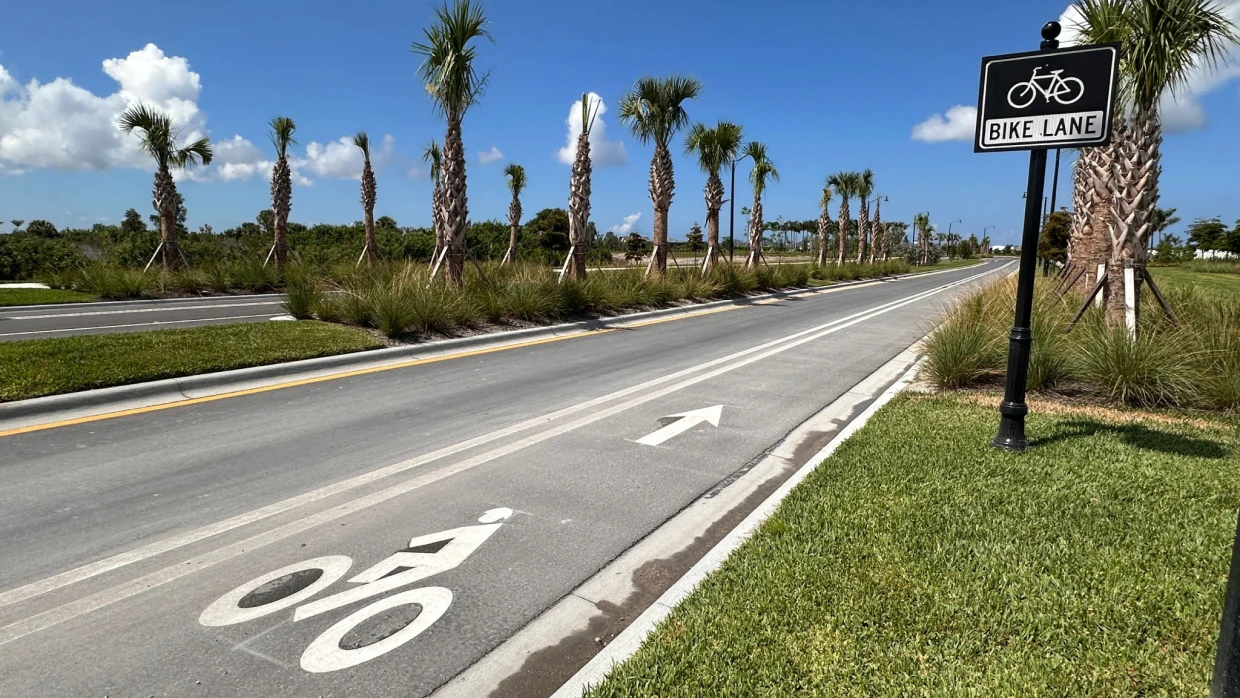 Bike lane with palm trees and sign.