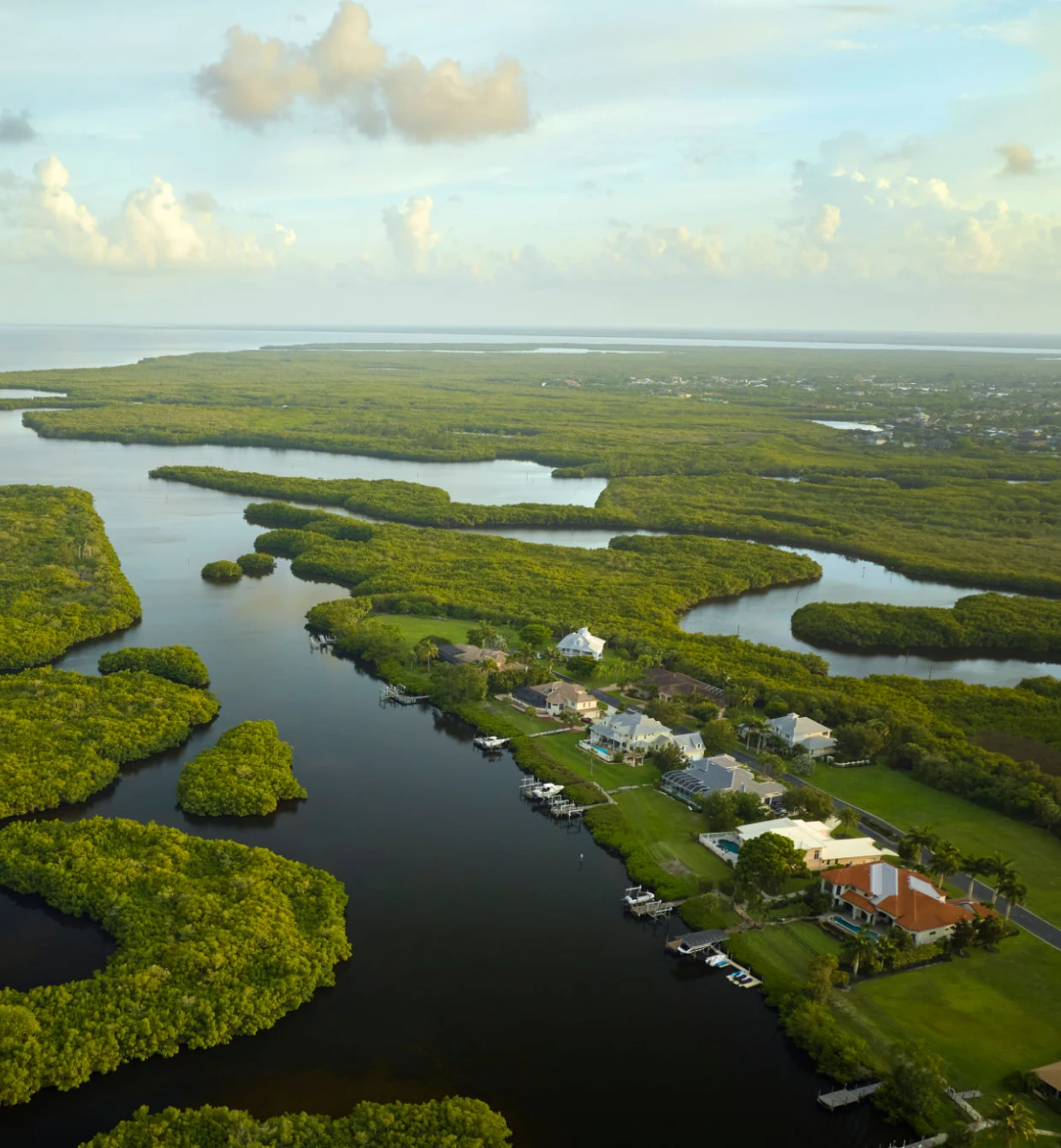 Aerial view of river and lush landscape.