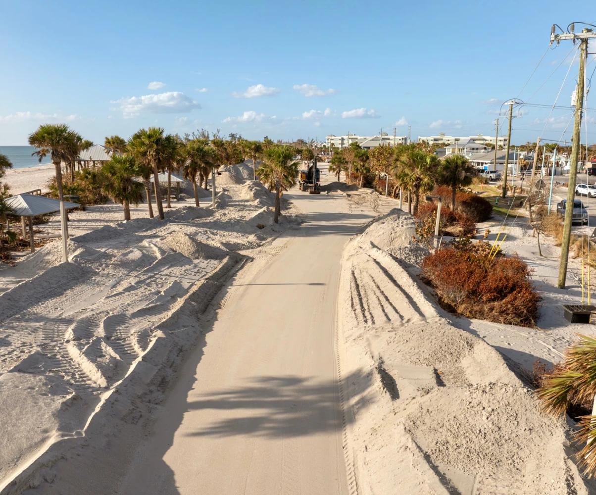 Beach road with sand dunes and palm trees.