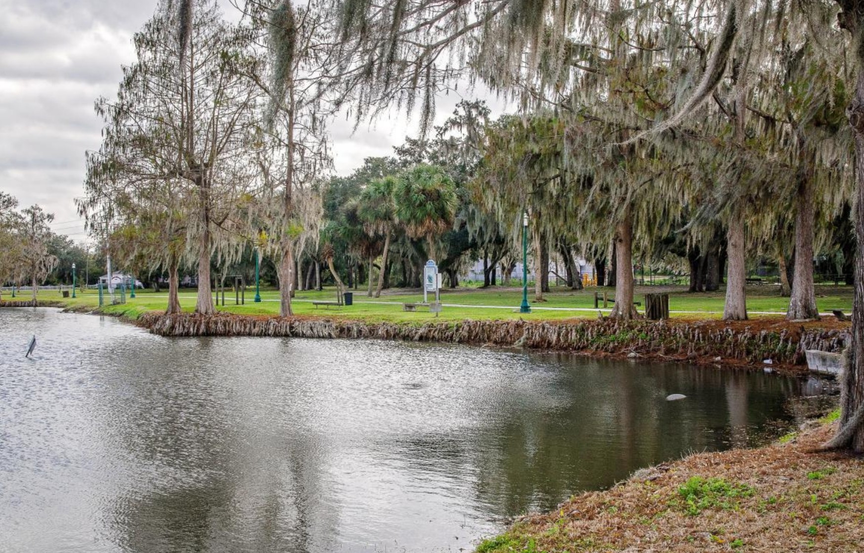 Park pond with trees draped in Spanish moss